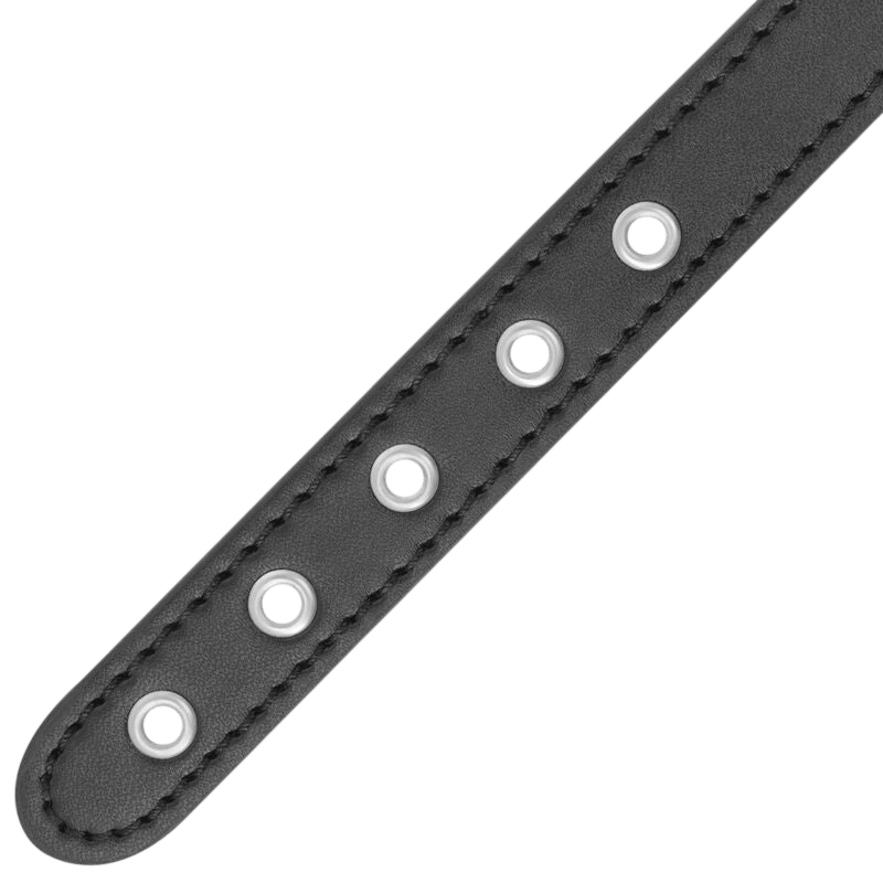 DARKNESS BONDAGE Accessoires Darkness | Anneau de Contrôle avec Laisse Bien-etre masculin premium TheManjoy