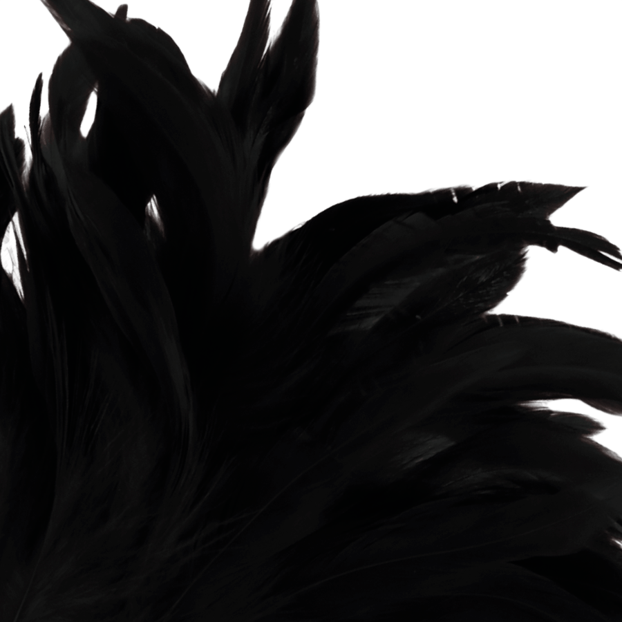 DARKNESS SENSATIONS Accessoires Darkness | Plume Lux Bien-etre masculin premium TheManjoy