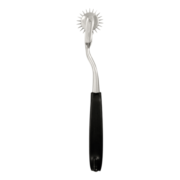 ELECTRASTIM Accessoires Electrastim | Wartenberg Simple | La Précision Sensorielle Bien-etre masculin premium TheManjoy