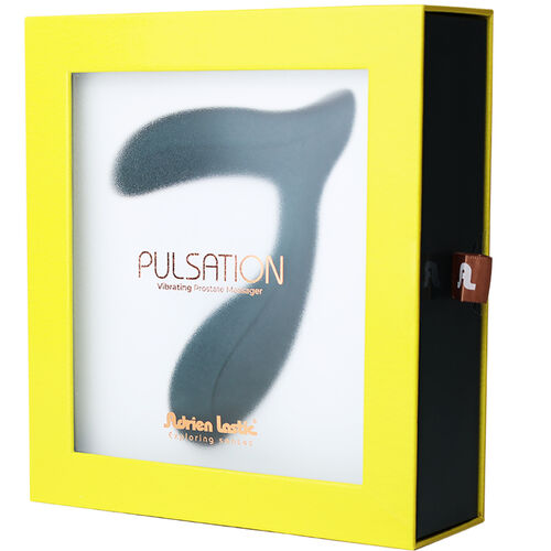 Adrien Lastic Pulsation vue 3