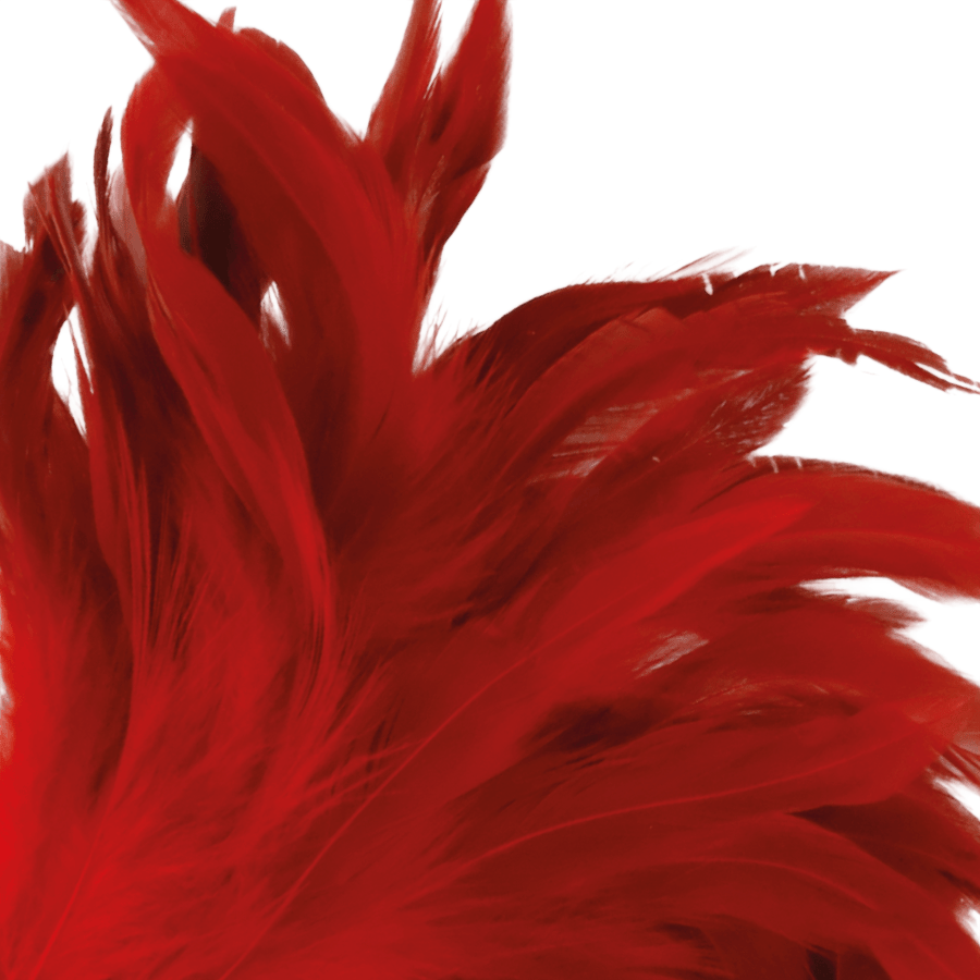 DARKNESS SENSATIONS Accessoires Darkness | Plume Rouge Bien-etre masculin premium TheManjoy